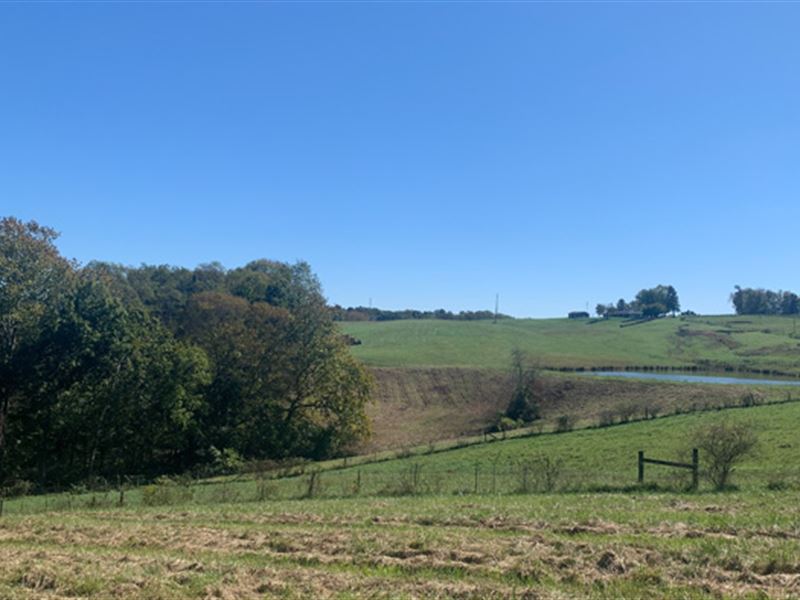 Vinton County, Ohio Land for Sale, Farm for Sale in Ohio, 309805