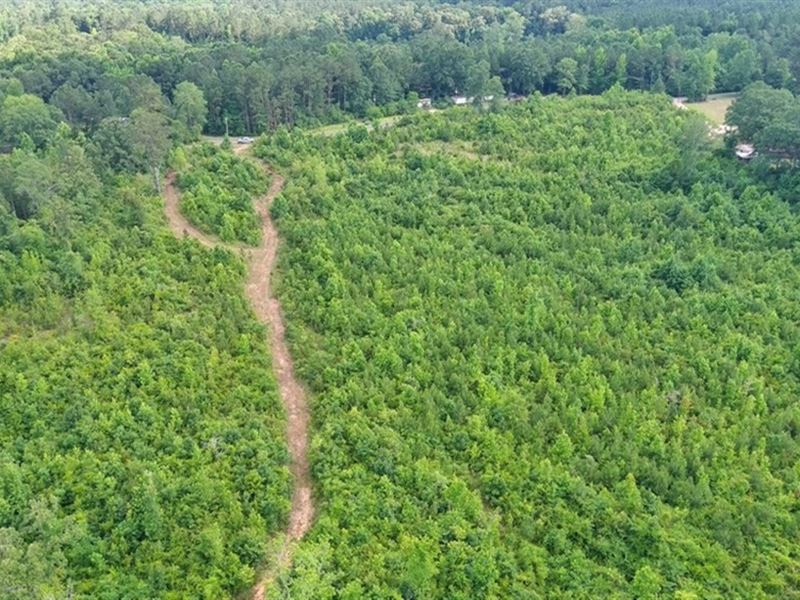 130 Acres in Lawrence County in Sil : Silver Creek : Lawrence County : Mississippi