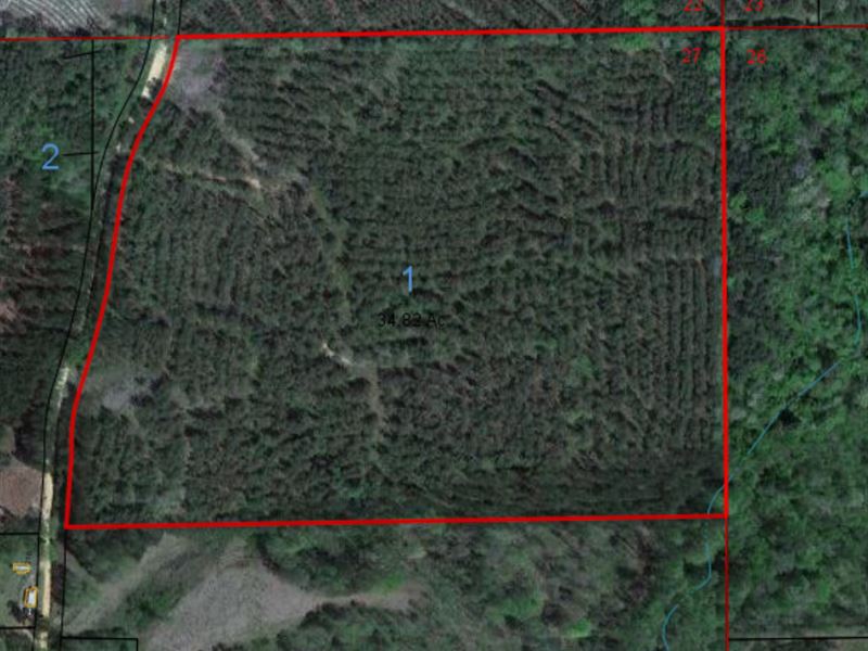 Stinson Tract : Georgiana : Butler County : Alabama