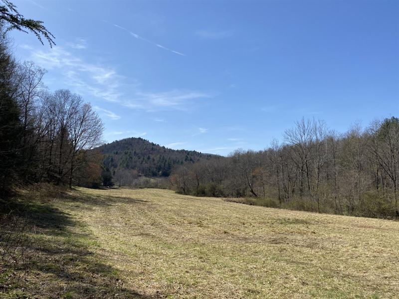 27.9 Ac Off Russell Gap Road, Boome : Boomer : Wilkes County : North Carolina