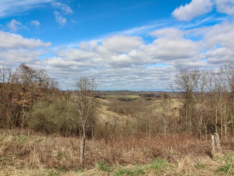 Tick Ridge, 55 Acres, Noble Count : Lower Salem : Noble County : Ohio