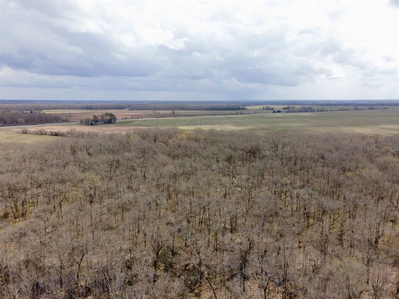146 Acres Hunting, Recreational, Fa : Columbia : Caldwell Parish : Louisiana