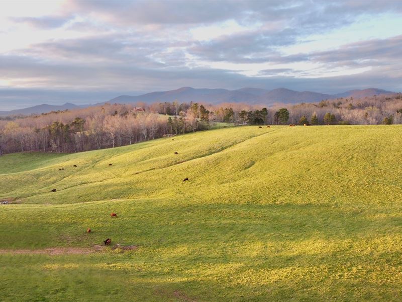 Hill Country Farm & Estate : Ball Ground : Pickens County : Georgia