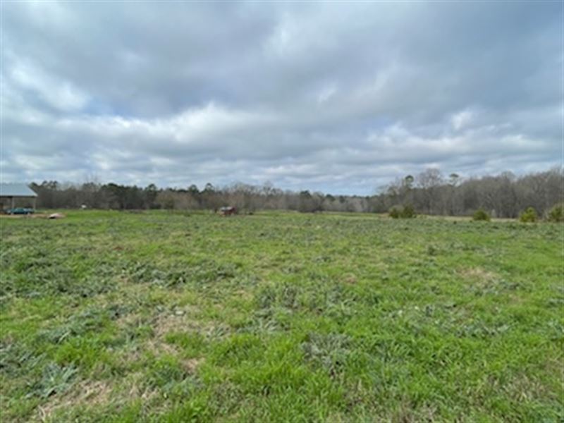 Acreage in Morgan County : Madison : Morgan County : Georgia