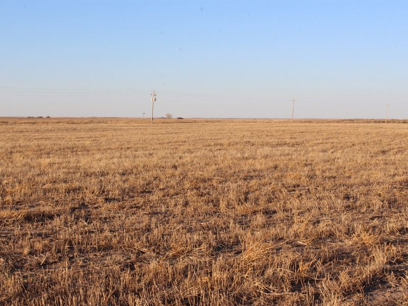 Morton County 315 : Rolla : Morton County : Kansas