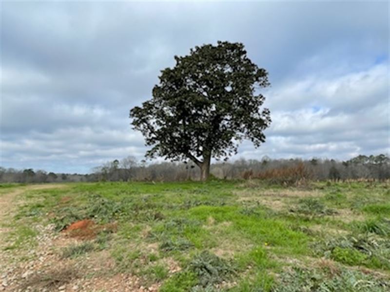 Perfectly Sized, Perfectly Pleasing : Madison : Morgan County : Georgia