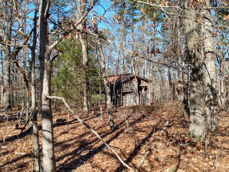 Hidden Getaway, No Restrictions : Yellville : Marion County : Arkansas