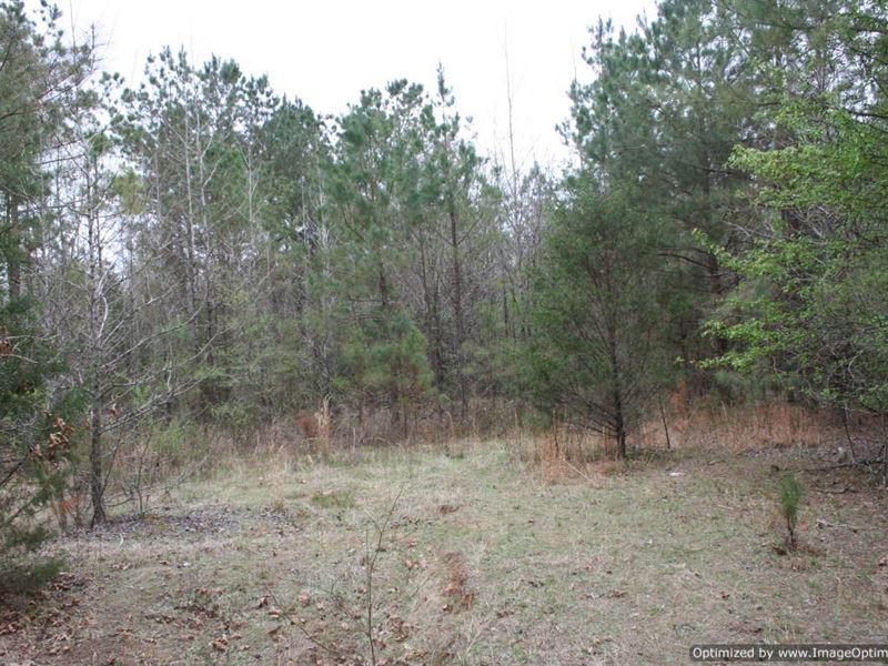 Rural 35 Ac Hunting Tract : Water Valley : Yalobusha County : Mississippi