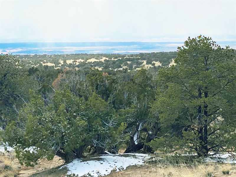 Remote Highlands Homestead : Saint Johns : Apache County : Arizona
