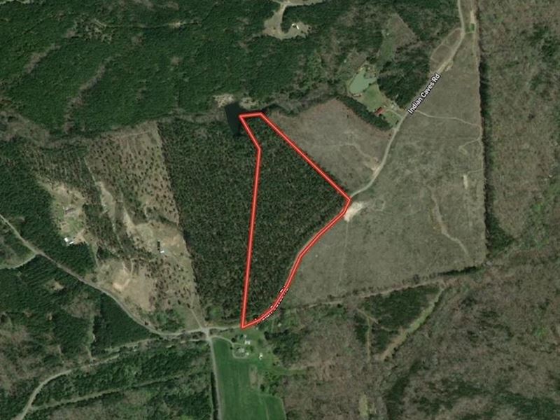 20.38 Acres of Re : Meadville : Halifax County : Virginia
