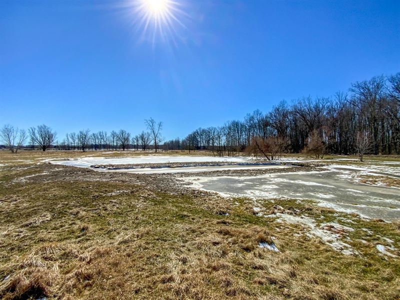Mount Olive Agosta Rd, 43 Acres : New Bloomington : Marion County : Ohio