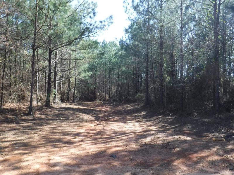 MT Gilead Road Tract : Meridian : Lauderdale County : Mississippi