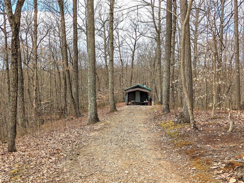 Land Adjoins Wayne National Forest, Farm for Sale in Ohio, 310588