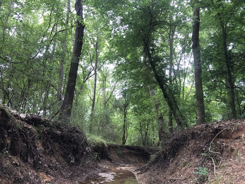 Delany Branch Tract, 3423 : Elkhart : Anderson County : Texas