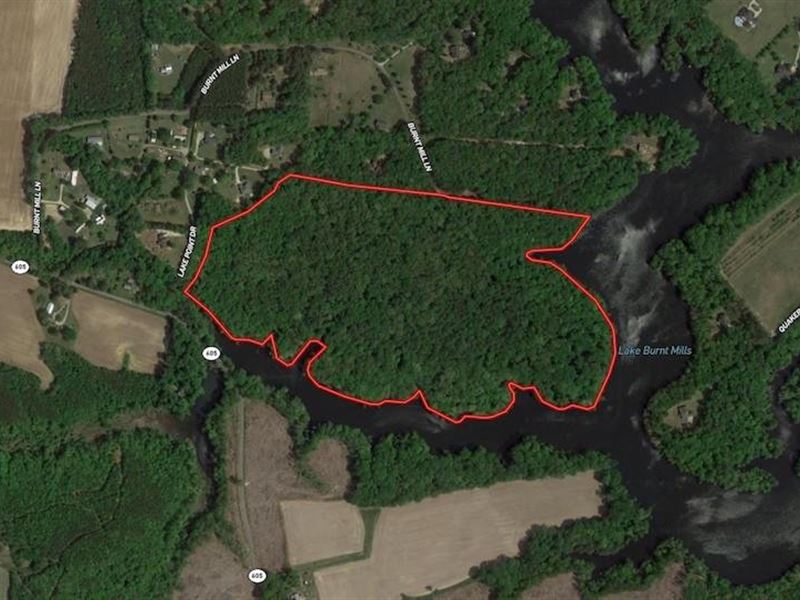 Reduced, 48.8 Acres of Lakefront : Windsor : Isle Of Wight County : Virginia