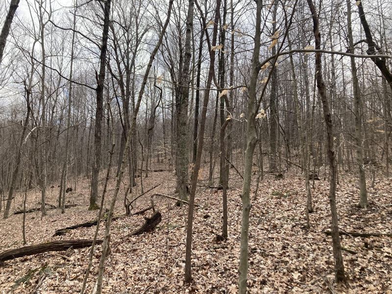 Weekend Getaway : Cave City : Barren County : Kentucky