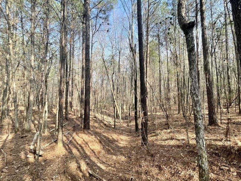 55 Acres in Choctaw County in Acker : Ackerman : Choctaw County : Mississippi
