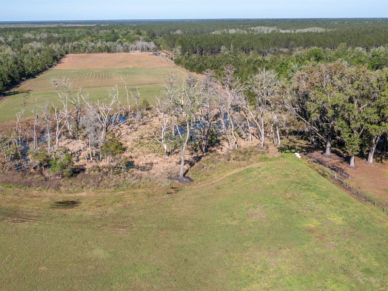 Build Your Own Yellowstone : Earleton : Alachua County : Florida