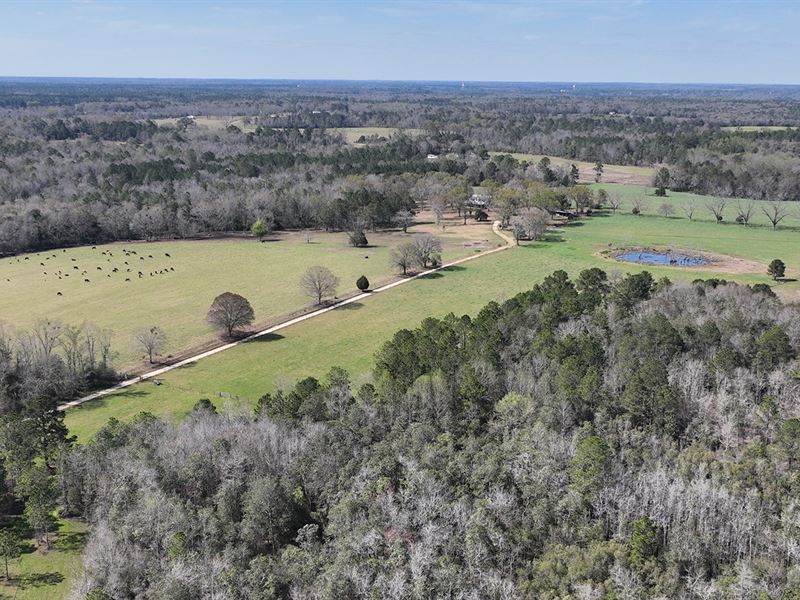 TurnKey Panhandle Ranch, Farm for Sale in Florida, 310662 FARMFLIP