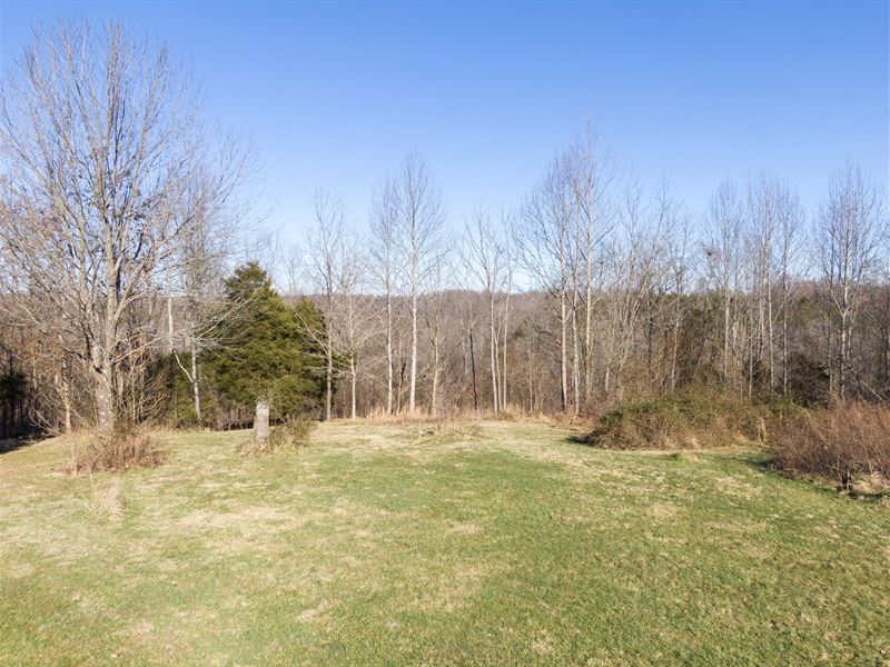 Trees, Creek Frontage, Hillside, Farm for Sale by Owner in Kentucky, 310674 FARMFLIP