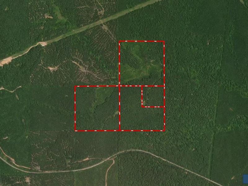 120 Ac In Meridian, MS : Meridian : Lauderdale County : Mississippi