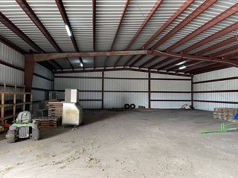 Farmland in Pasquotank County : Belvidere : Pasquotank County : North Carolina