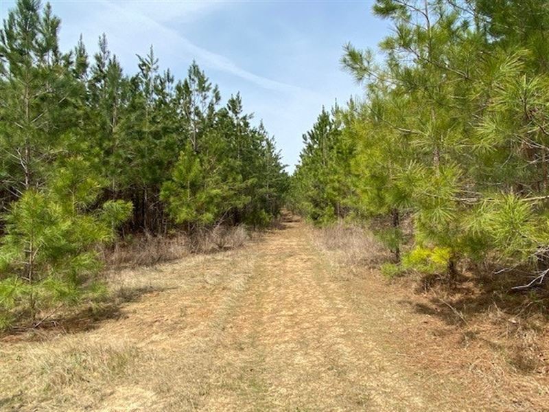 Boggan 124, Farm for Sale in North Carolina, 310758 FARMFLIP