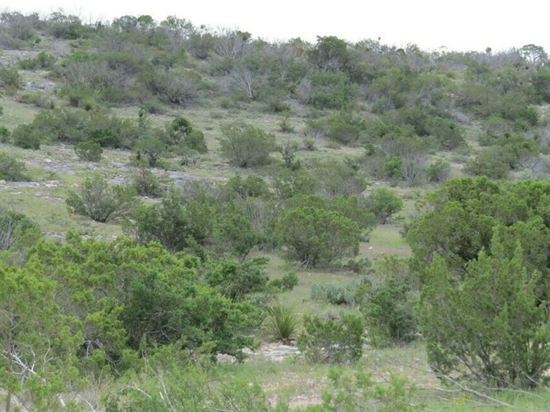 High Lonesome E., Lot 45 : Sonora : Val Verde County : Texas