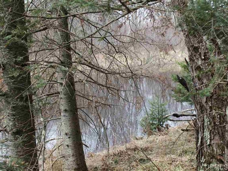 Private 30+/- Acres : Watersmeet : Ontonagon County : Michigan