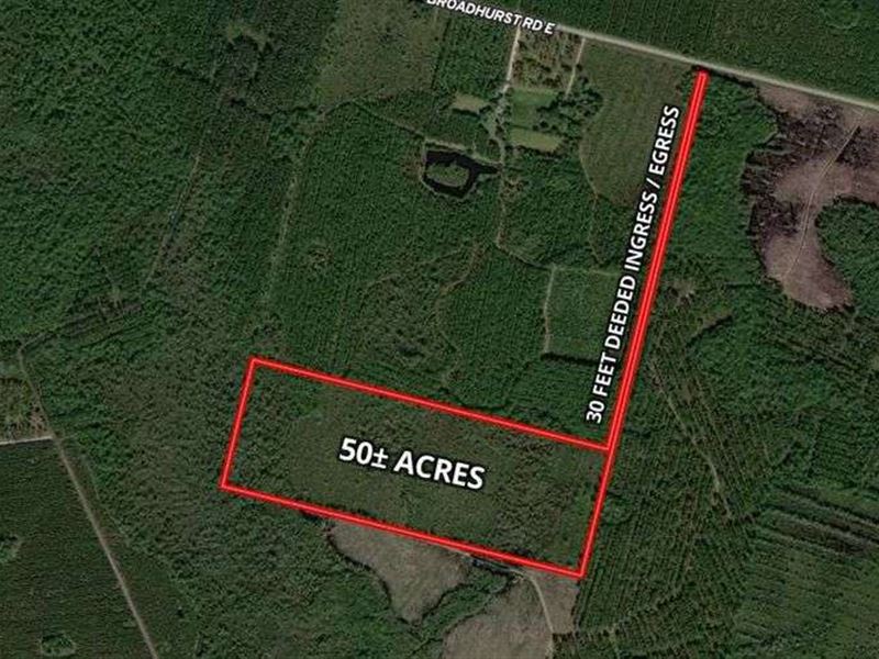 50 Acres of Agricultural Land : Jesup : Wayne County : Georgia