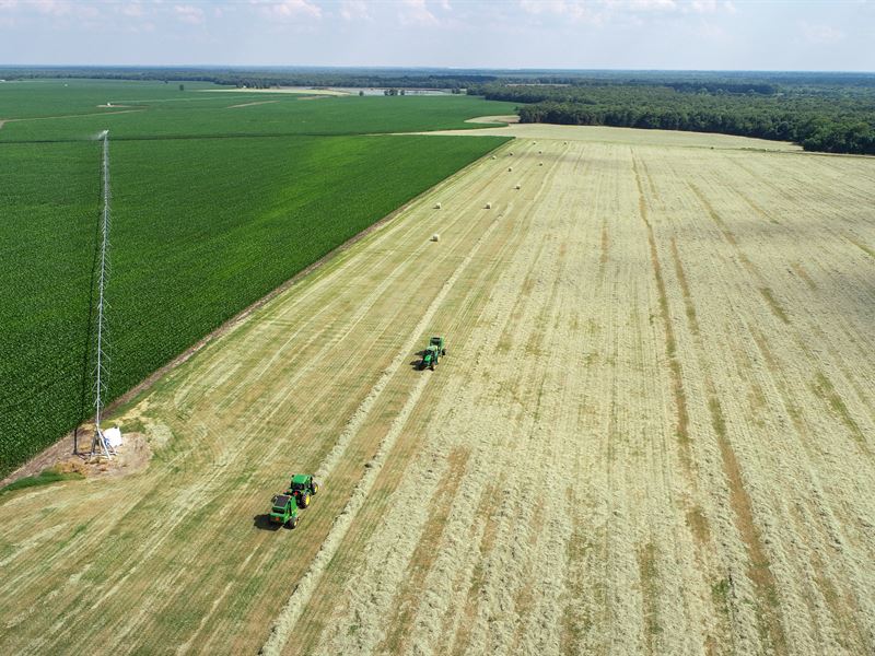 1030 Acre Farm, Detroit, TX : Detroit : Red River County : Texas