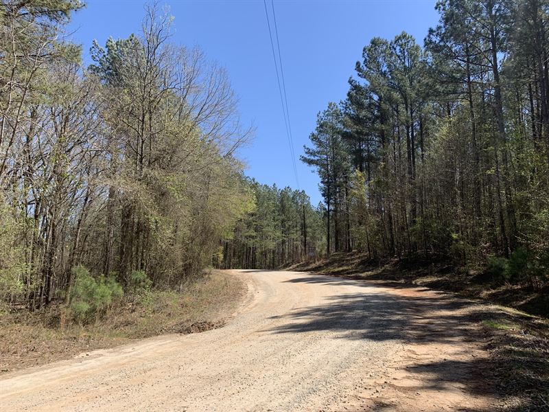 Smith Tract : Lexington : Oglethorpe County : Georgia