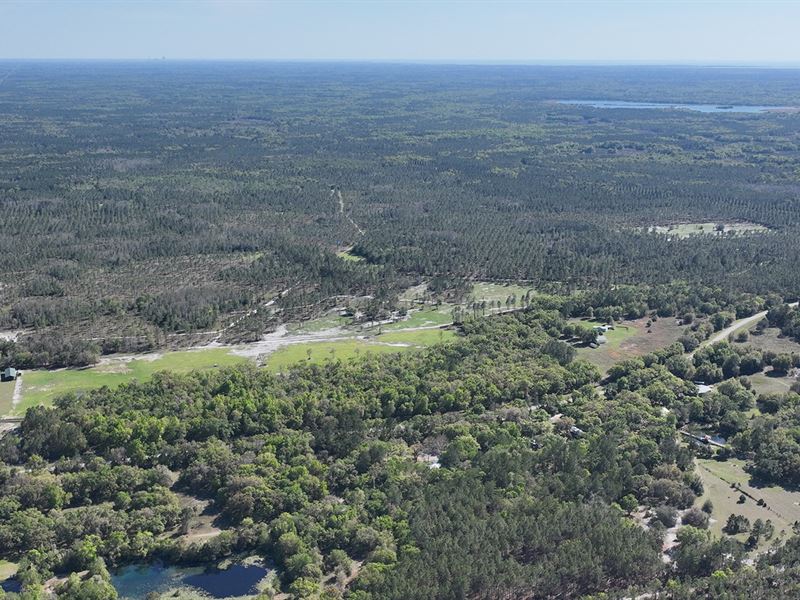 Levy County Exotic Game Ranch : Morriston : Levy County : Florida