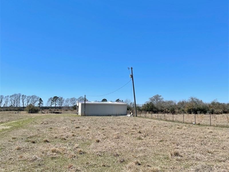 20 Acres Of Pasture : Jayess : Walthall County : Mississippi