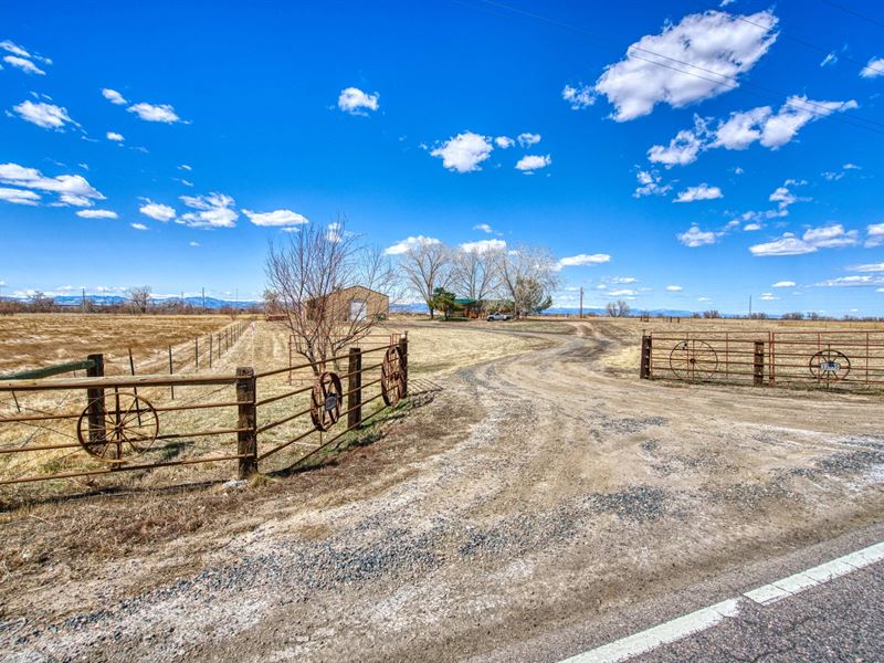 Buckley Acreage : Brighton : Adams County : Colorado