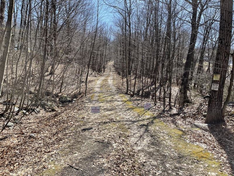 129 Acres, Luzerne County, Laurel, Farm for Sale in Pennsylvania