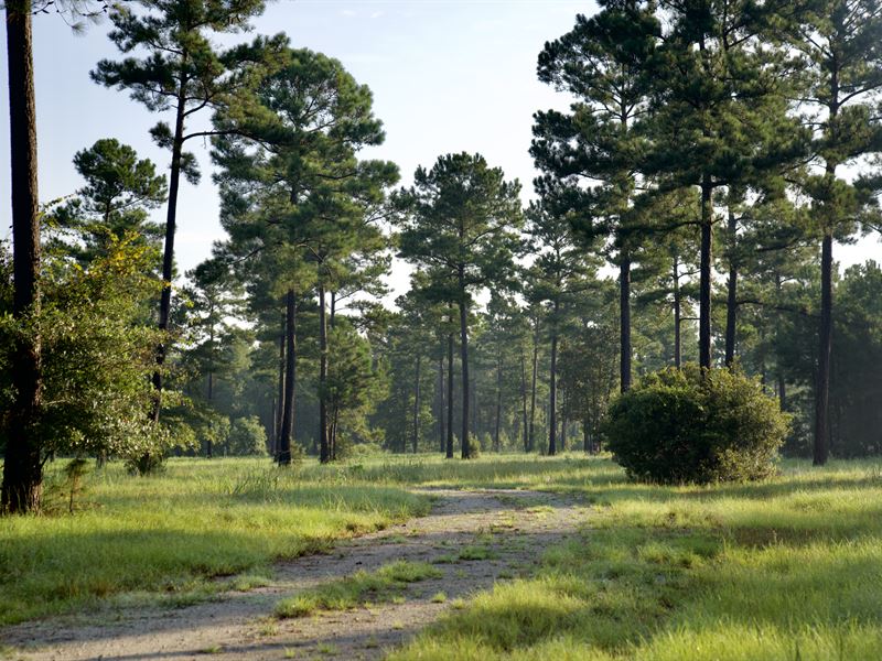 Turkey Creek Resort : Georgetown : Georgetown County : South Carolina