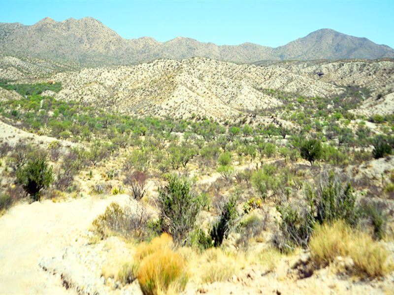 Good Times Start Here, Immaculate : Benson : Cochise County : Arizona