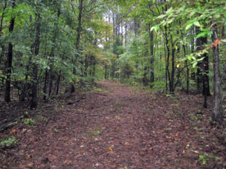 8.6 Ac Hall Station Road : Kingston : Bartow County : Georgia