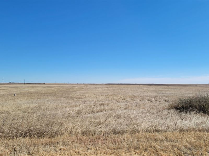 Ollhoff Prairie Co. Crp & Pasture : Fleming : Logan County : Colorado