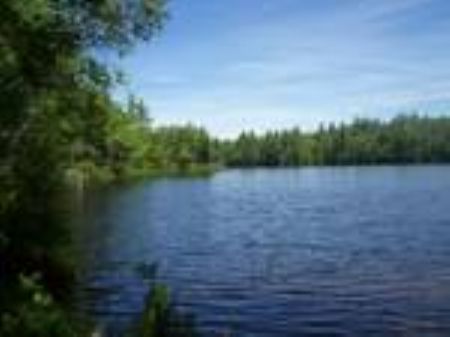 Kingdom Parcel Of Land : Denmark : Oxford County : Maine