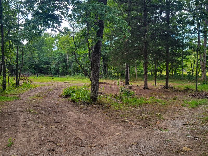 End Of The Easement Road : Gentryville : Douglas County : Missouri