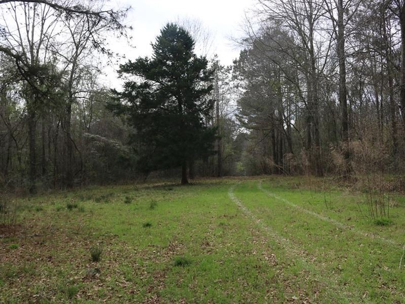 70 Acres Hunting Land for Sale Jasp, Farm for Sale in Mississippi