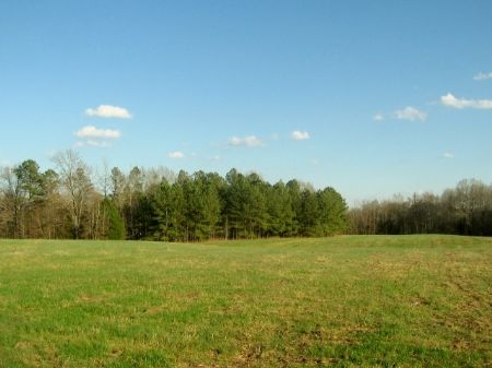 Great Personal Hunting Getaway : Crawfordville : Taliaferro County : Georgia