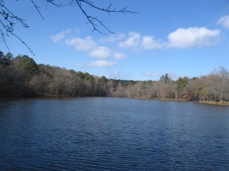 Recreational Tract with Large Pond : Greensboro : Greene County : Georgia