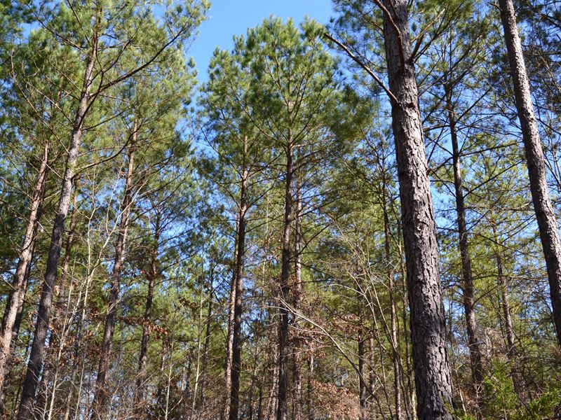 Rocky Creek Retreat : Chester : Chester County : South Carolina