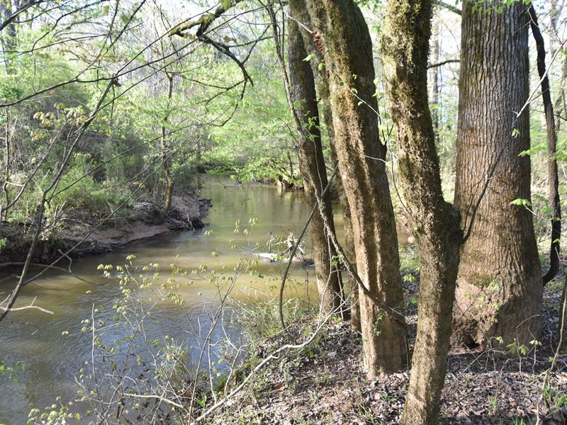 Secluded Hunting Tract Near Waverly : Waverly Hall : Harris County : Georgia