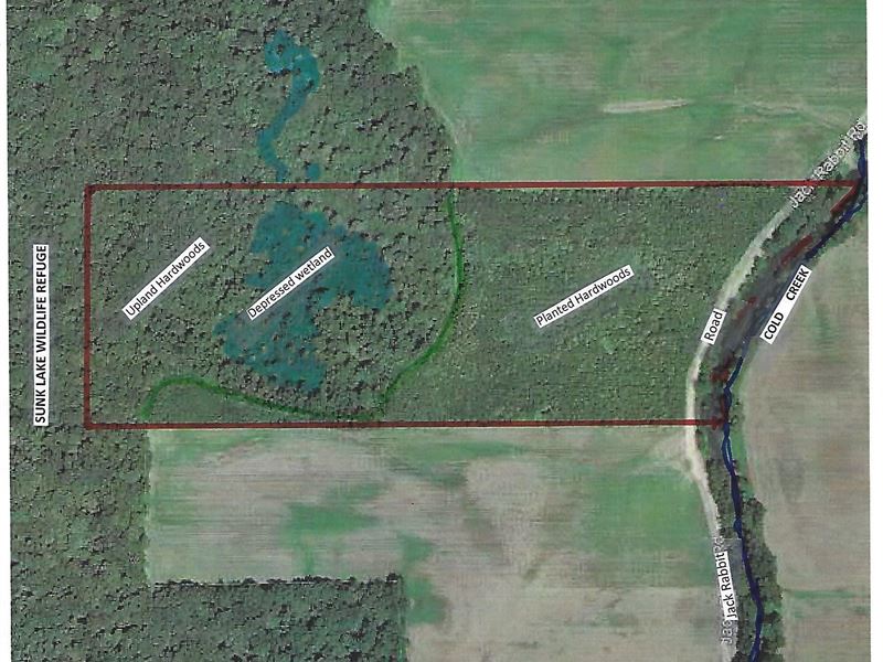 63.5 Acres Hunting Land, TN : Henning : Lauderdale County : Tennessee