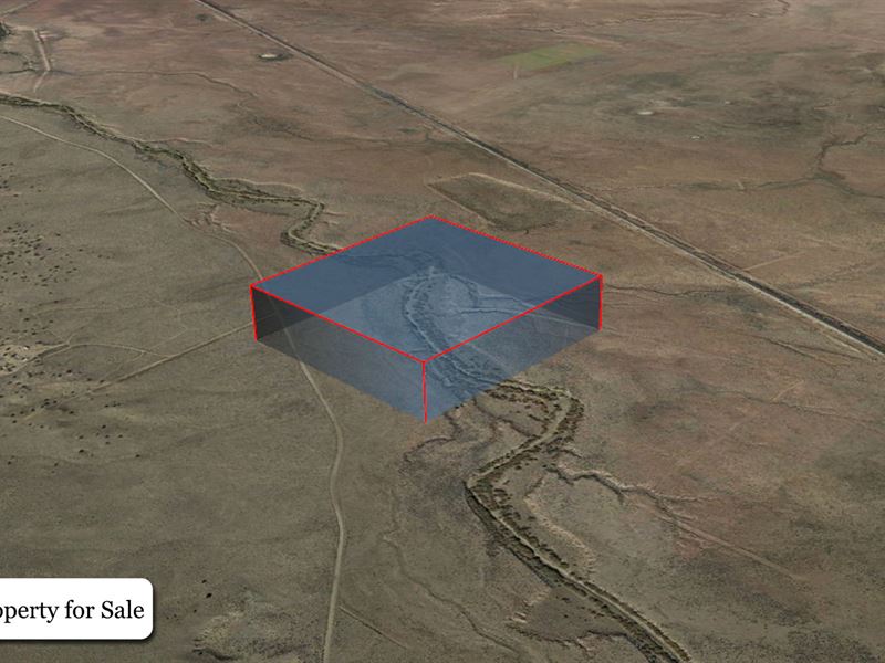 40.68 Acre Site in Concho, Arizona : Saint Johns : Apache County : Arizona