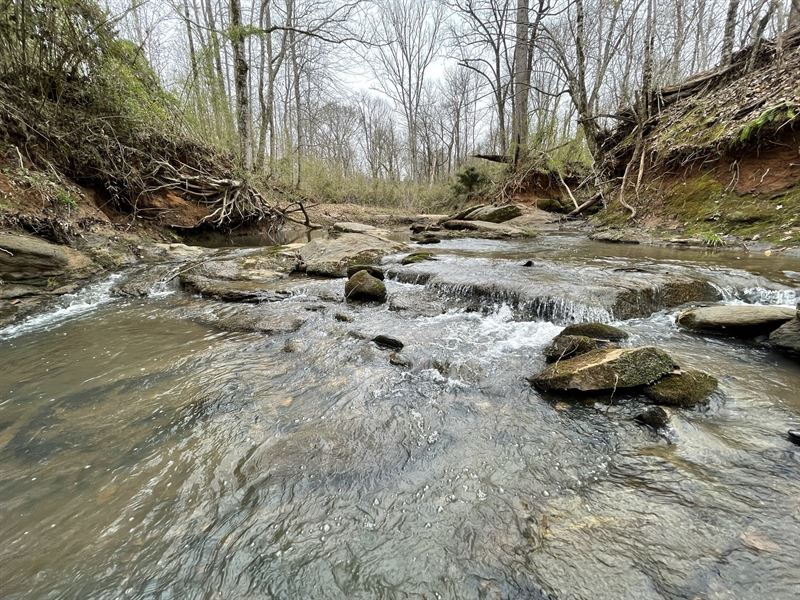 McClure Creek : McConnells : York County : South Carolina
